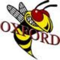 Oxford_hornet